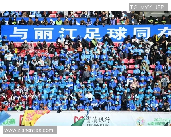 桃林国际足球比赛直播精彩纷呈全球球迷齐聚共享激情时刻