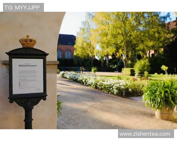 瑞典与丹麦篮球实力对比分析谁将赢得胜利